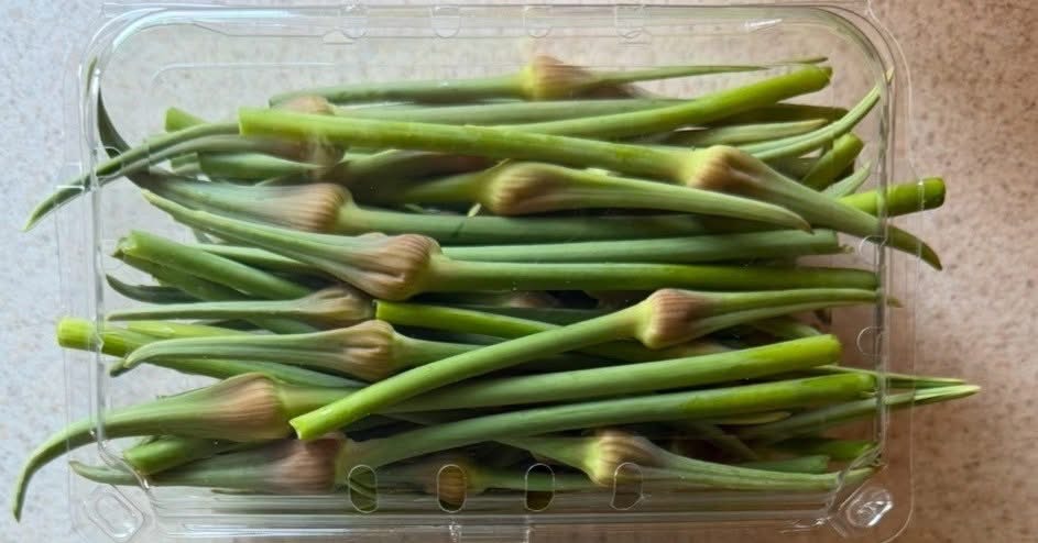 Garlic scape season